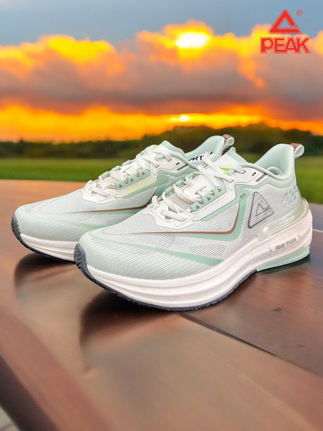 Peak Men Taichi 6.0 Pro Training Shoes – marjoram ET42627H