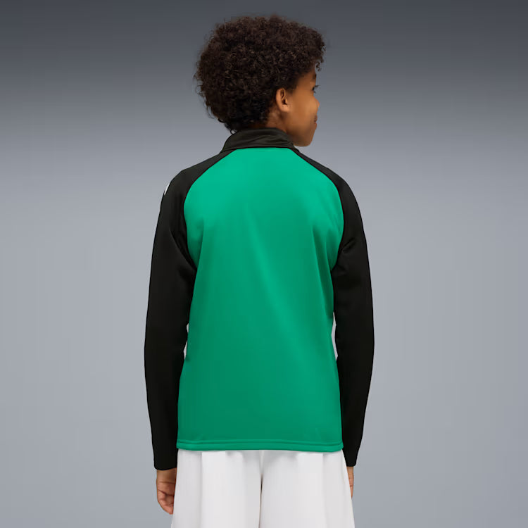 PUMA teamLIGA Training Jacket 657234-05