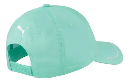 Puma Mercedes-AMG Petronas Motorsport 024485-04