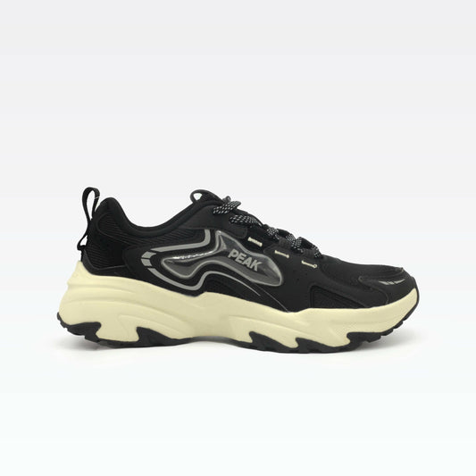 Peak Retro Casual Shoes Black ET43191E