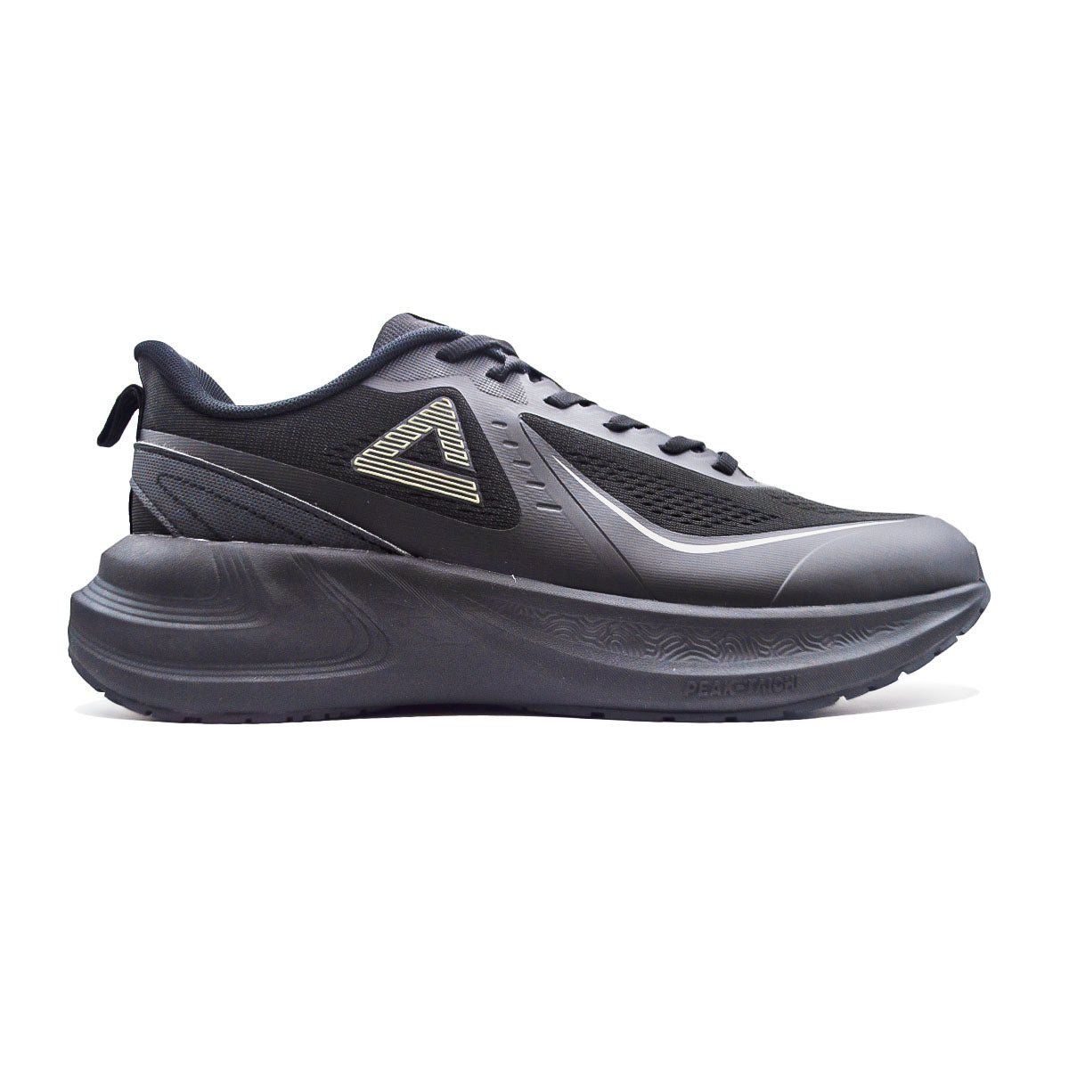 Peak Taichi Running Shoes-All BlackE  XT261217H-Y291