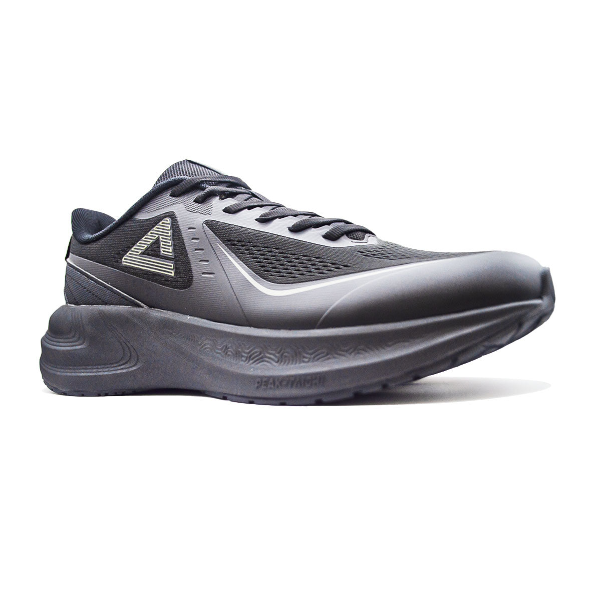 Peak Taichi Running Shoes-All BlackE  XT261217H-Y291