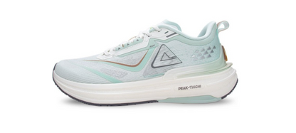 Peak Men Taichi 6.0 Pro Training Shoes – marjoram ET42627H