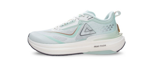 Peak Men Taichi 6.0 Pro Training Shoes – marjoram ET42627H