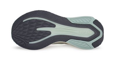 Peak Men Taichi 6.0 Pro Training Shoes – marjoram ET42627H