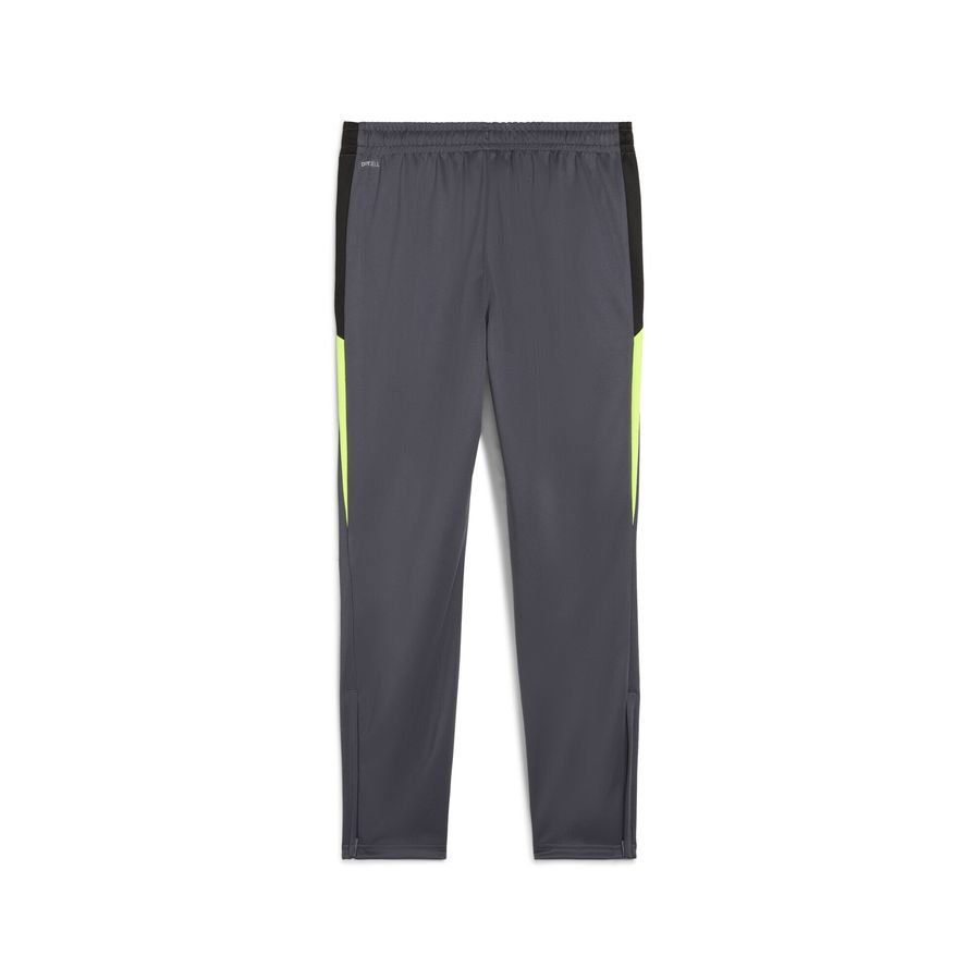 Puma individualLIGA Trainingshose 659517-08