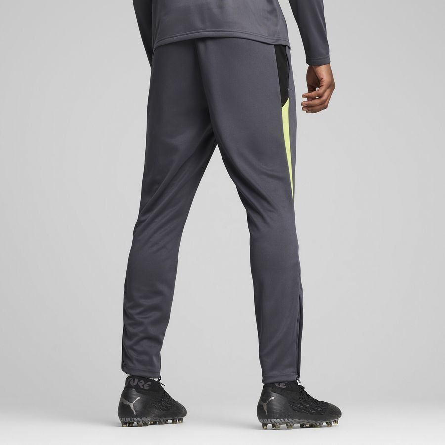 Puma individualLIGA Trainingshose 659517-08