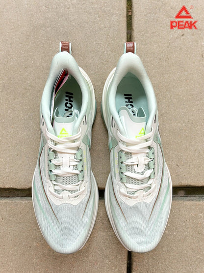 Peak Men Taichi 6.0 Pro Training Shoes – marjoram ET42627H