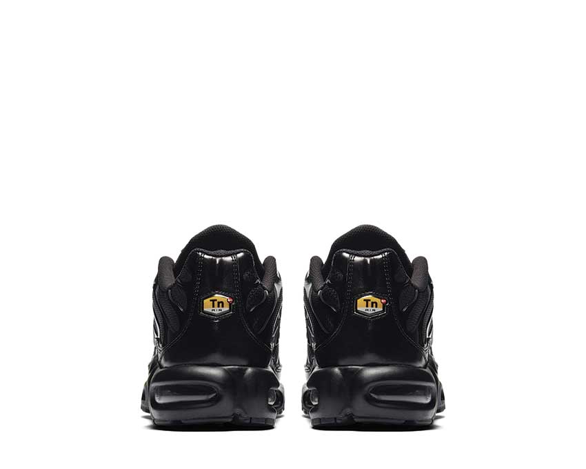 Nike Air Max Plus Black 604133-050