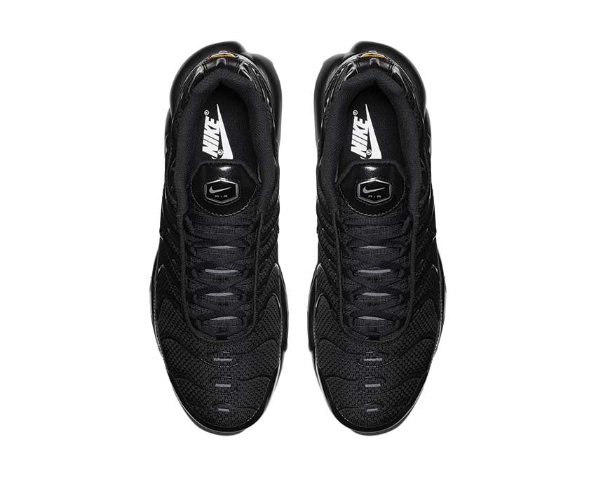 Nike Air Max Plus Black 604133-050