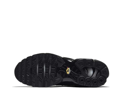 Nike Air Max Plus Black 604133-050
