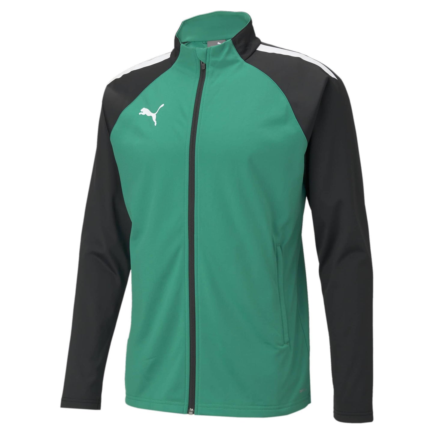 PUMA teamLIGA Training Jacket 657234-05
