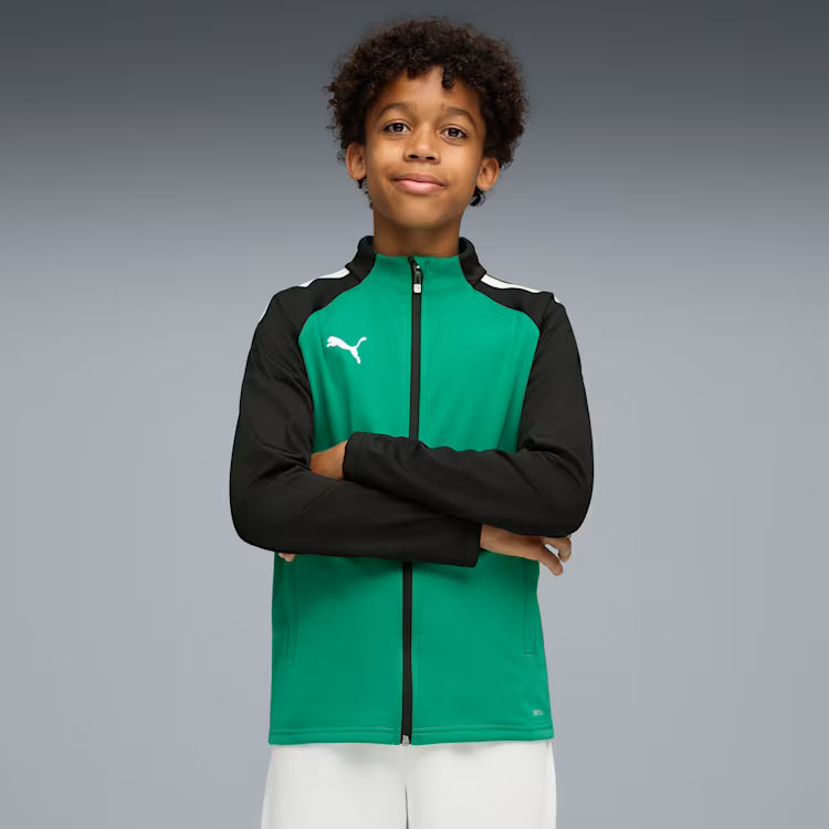PUMA teamLIGA Training Jacket 657234-05