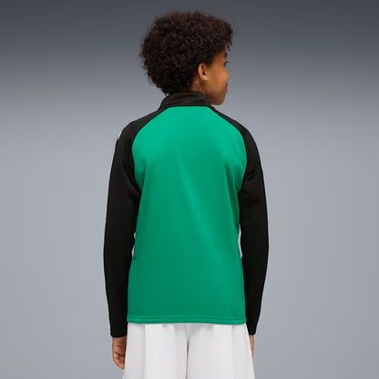 PUMA teamLIGA Training Jacket 657234-05